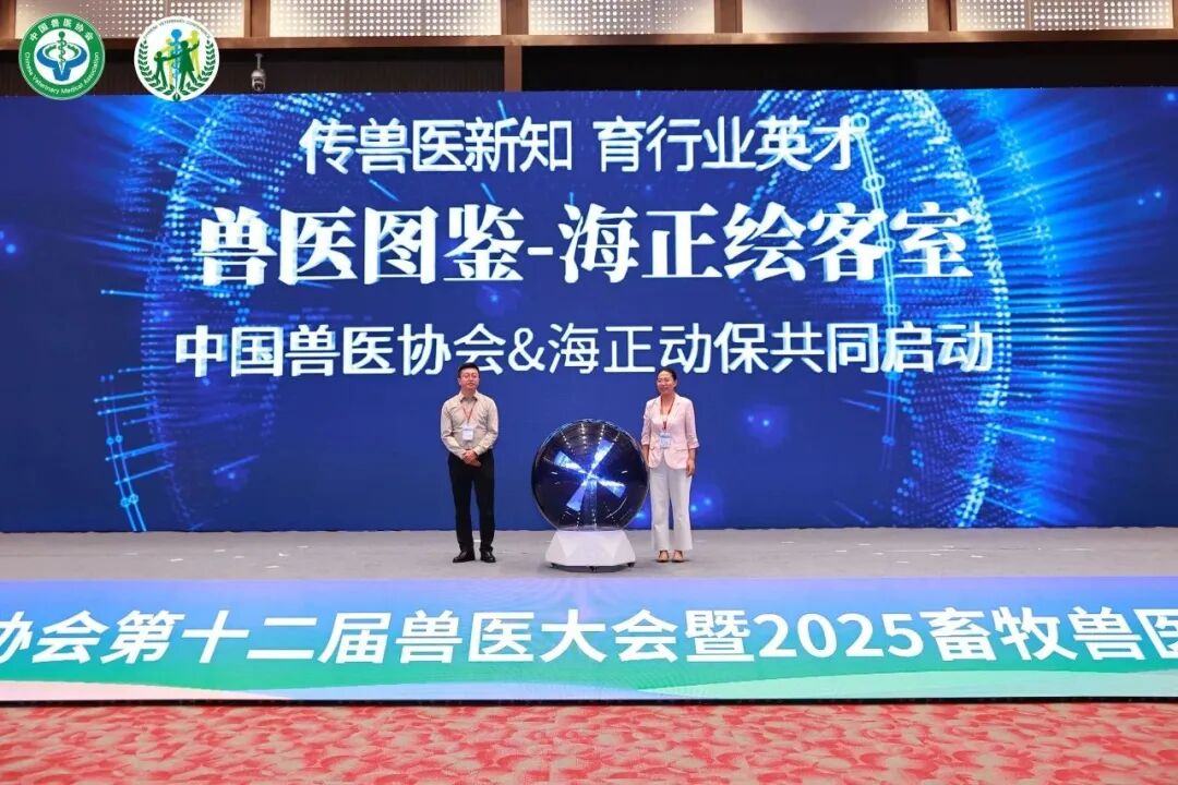 d63d70a6e38ea87ea275fdbe77dbacf7